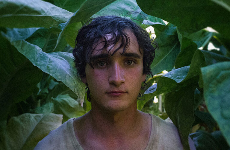 Happy as Lazzaro and the fool archetype